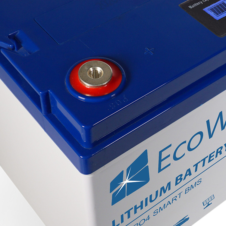 EcoWatt LiFePO4 BMS 12,8V/100Ah 1280Wh ECO-12-100
